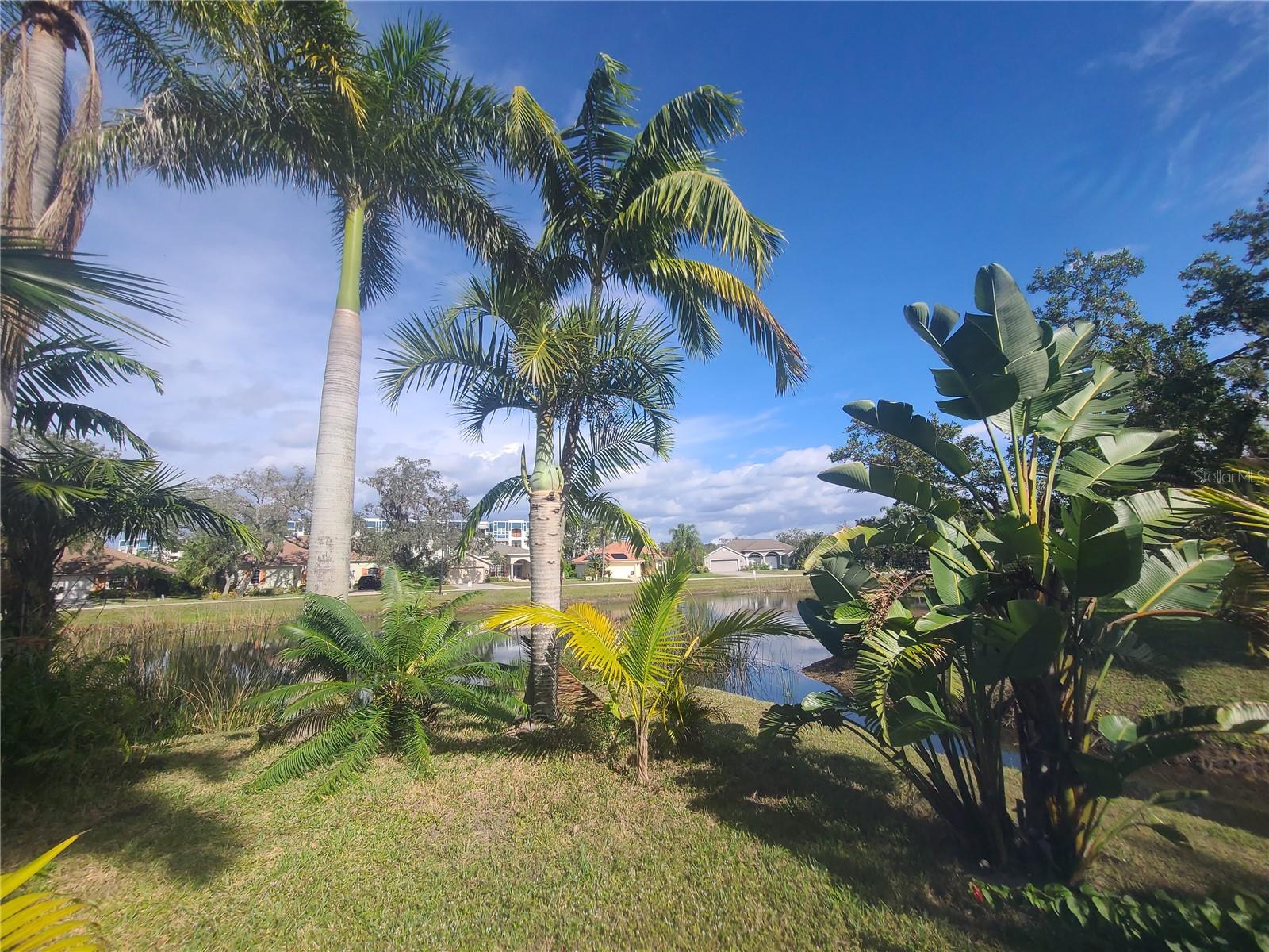 Image 30 of 38 For 185 Wading Bird Drive