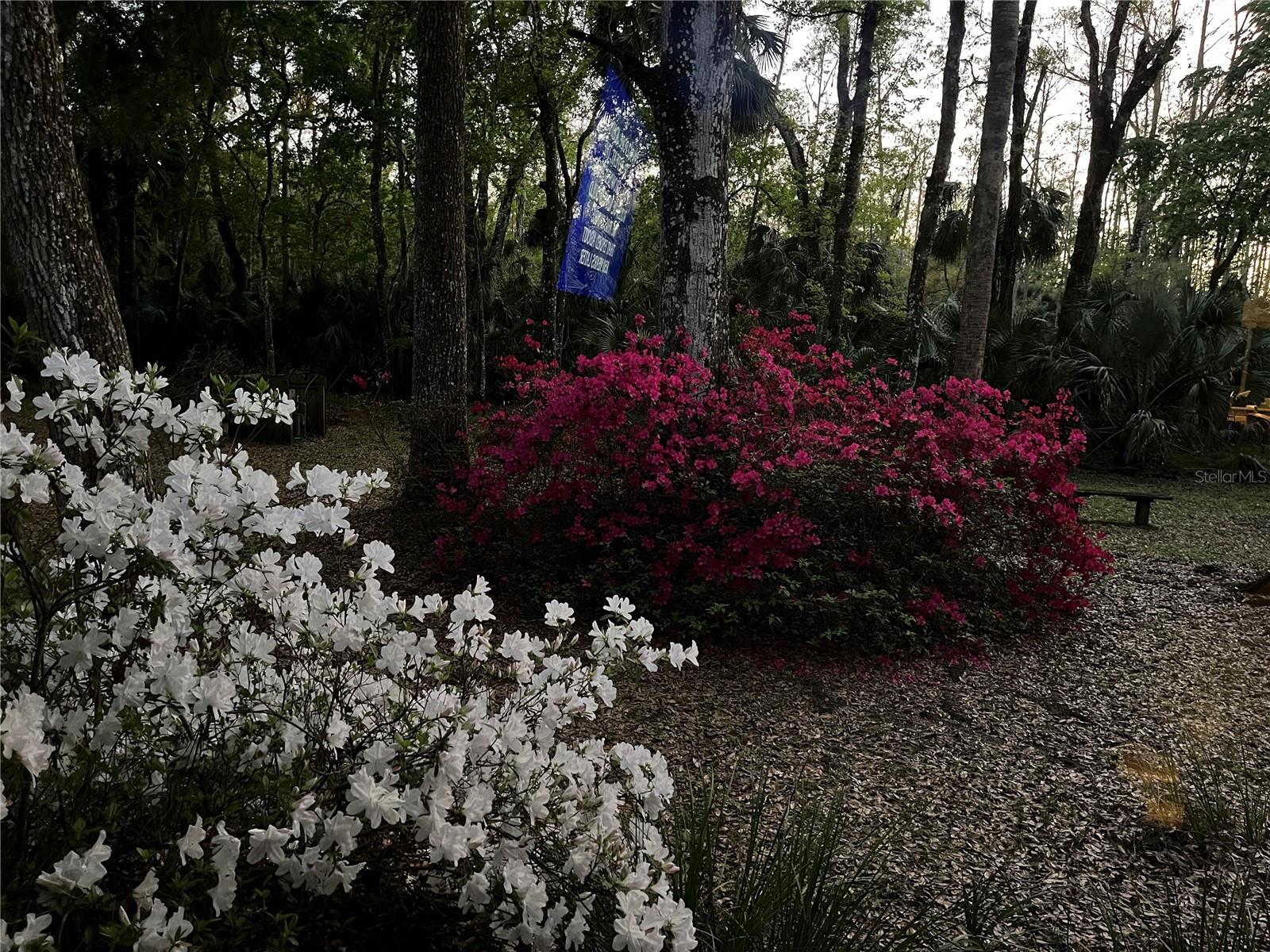 Image 16 of 77 For 8725 Quail Run Drive