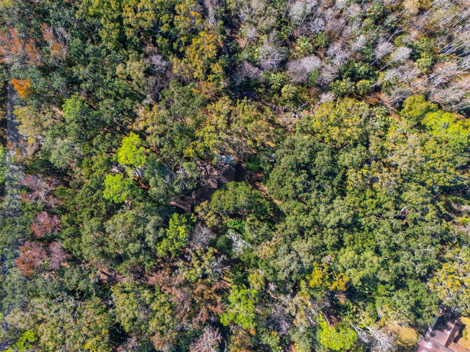 Image 5 of 77 For 8725 Quail Run Drive