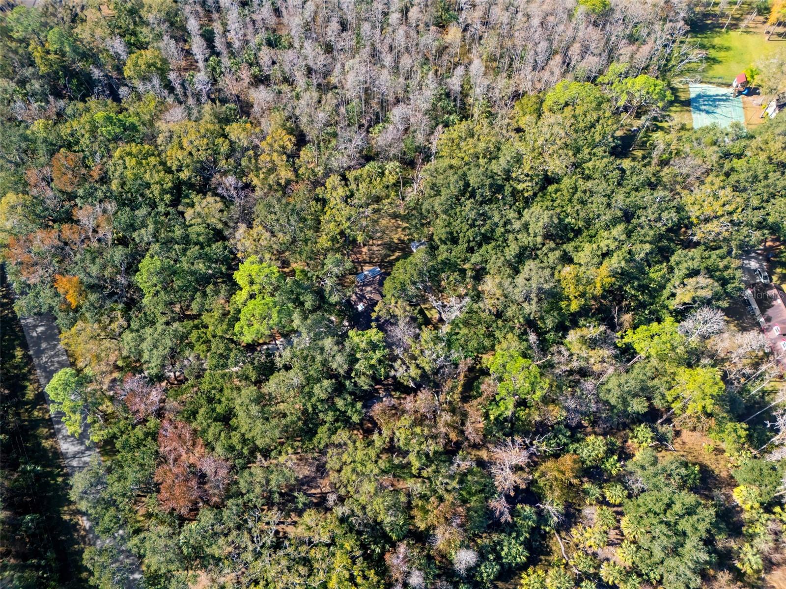 Image 6 of 77 For 8725 Quail Run Drive