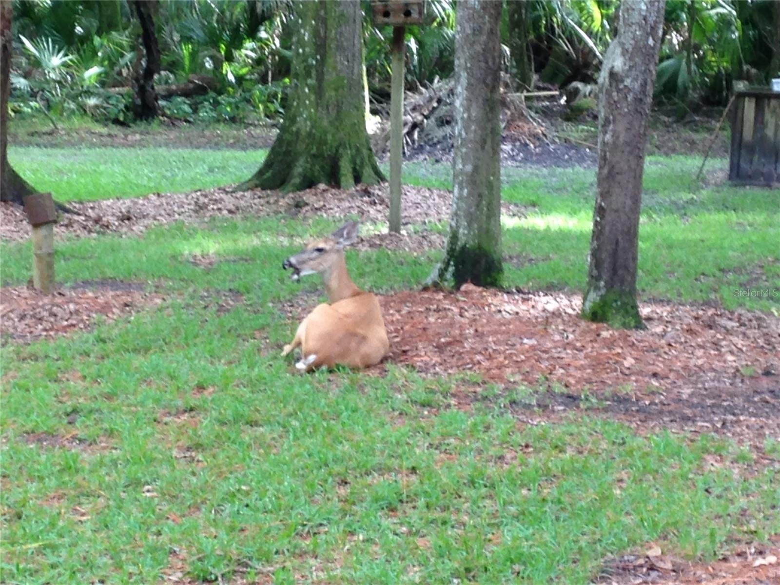 Image 73 of 77 For 8725 Quail Run Drive