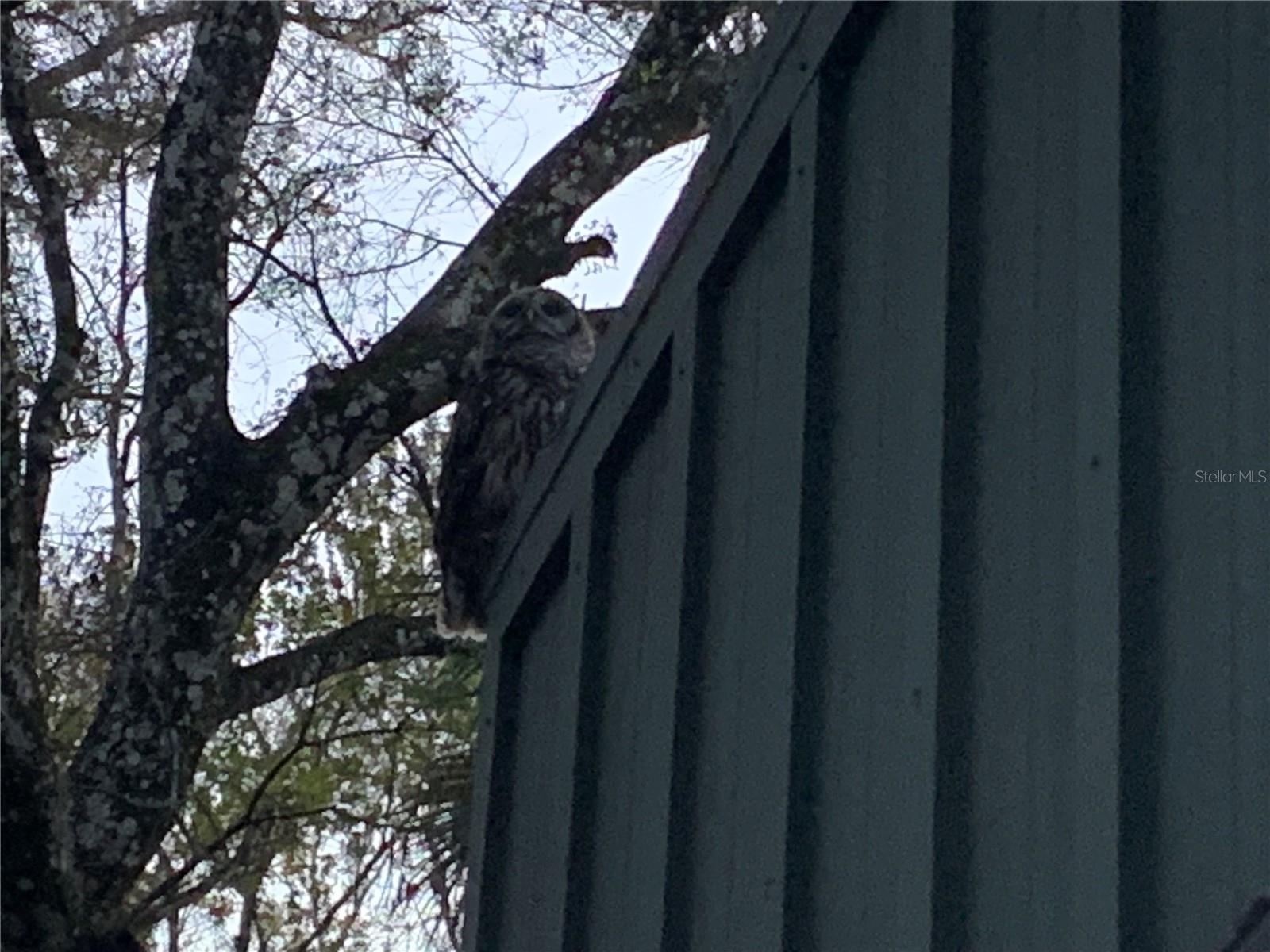 Image 76 of 77 For 8725 Quail Run Drive