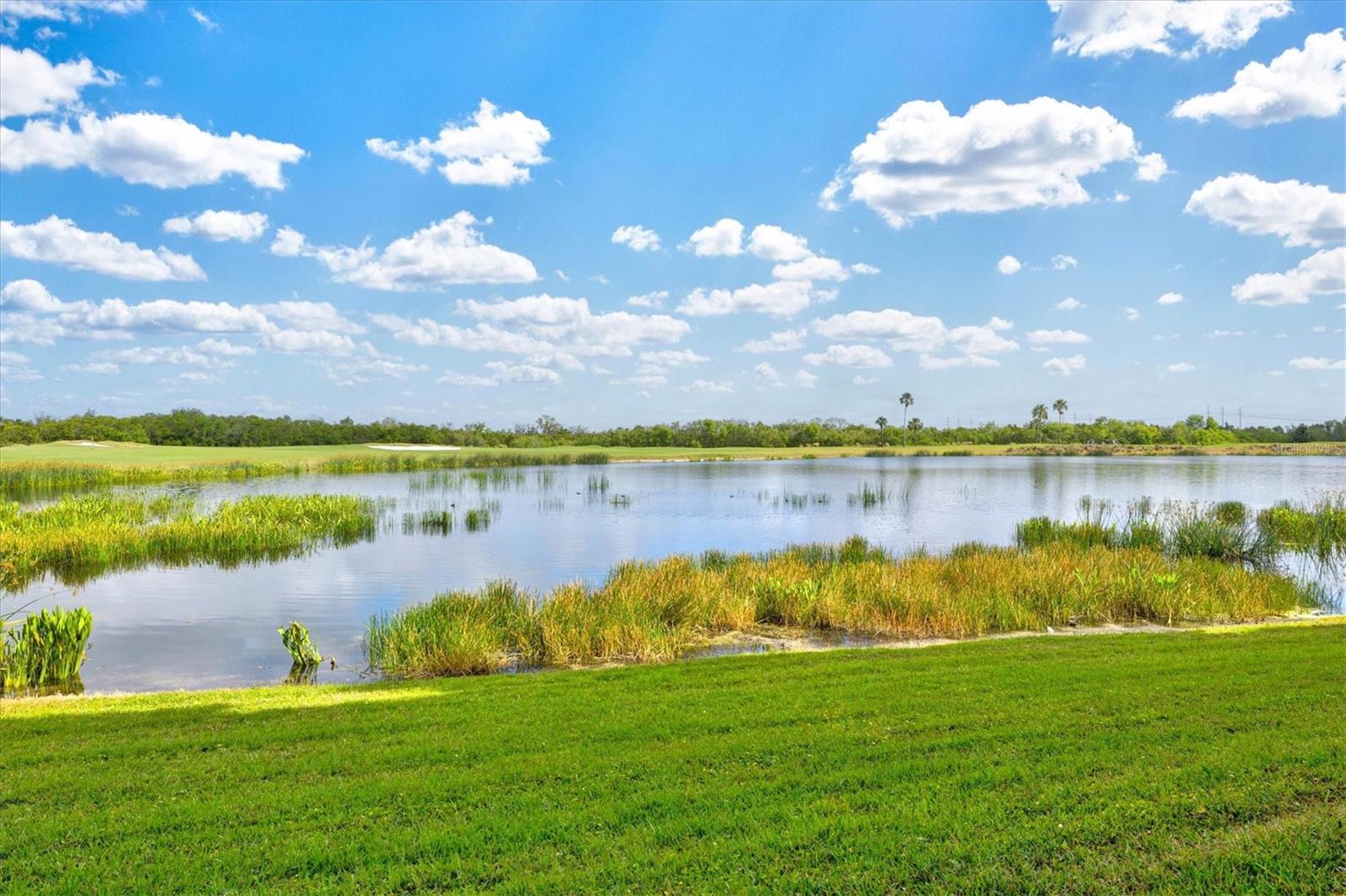 Image 5 of 81 For 7705 Grand Estuary Trail 102