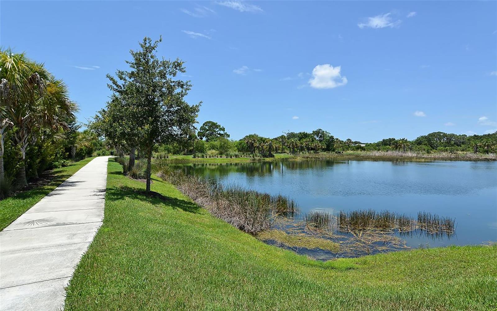 Image 51 of 65 For 5613 River Sound Terrace