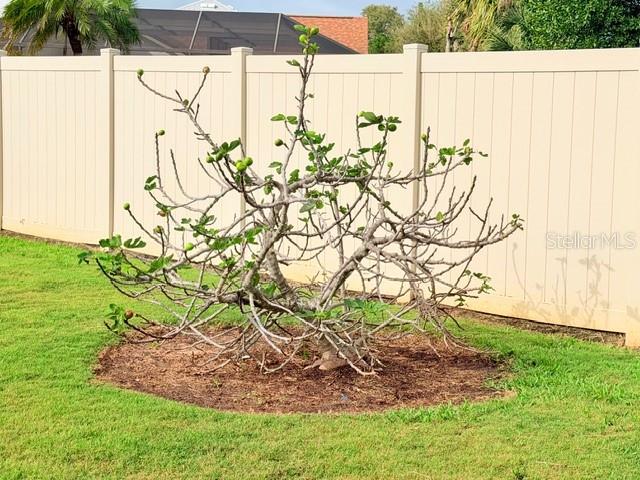 Image 65 of 82 For 5102 19th Avenue W