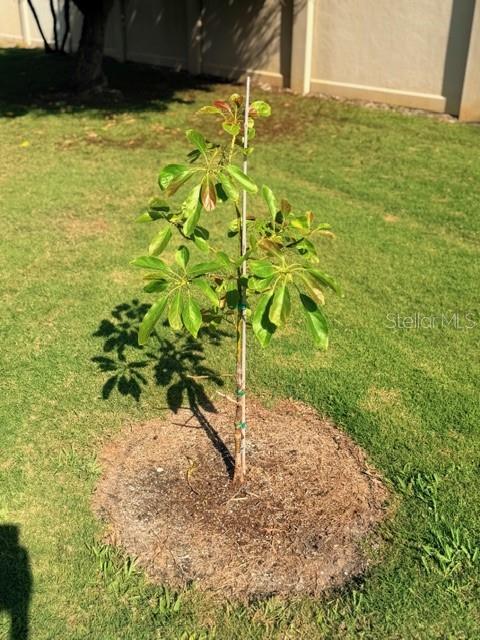 Image 68 of 82 For 5102 19th Avenue W