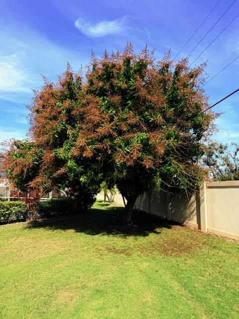 Image 70 of 82 For 5102 19th Avenue W