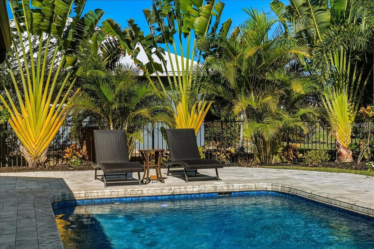 Image 7 of 51 For 7314 Powder Puff