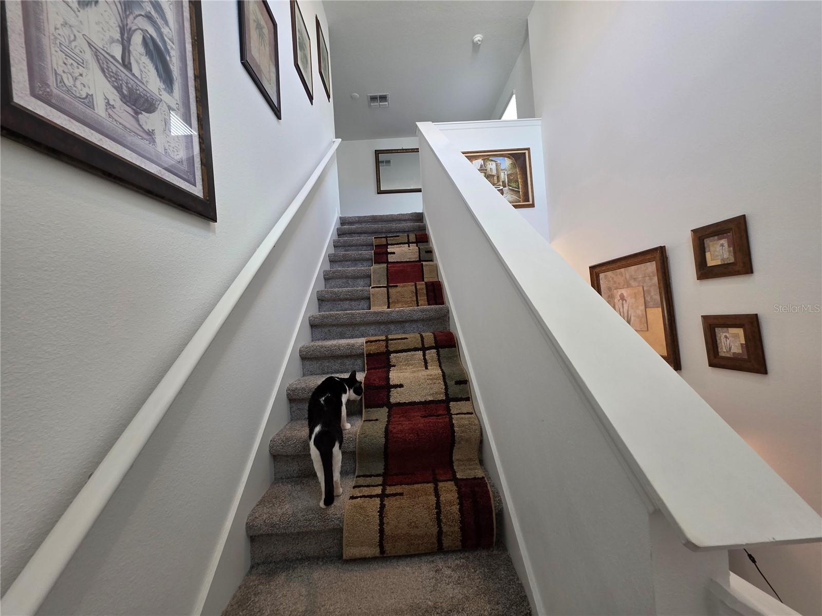 Image 15 of 24 For 356 Loch Court