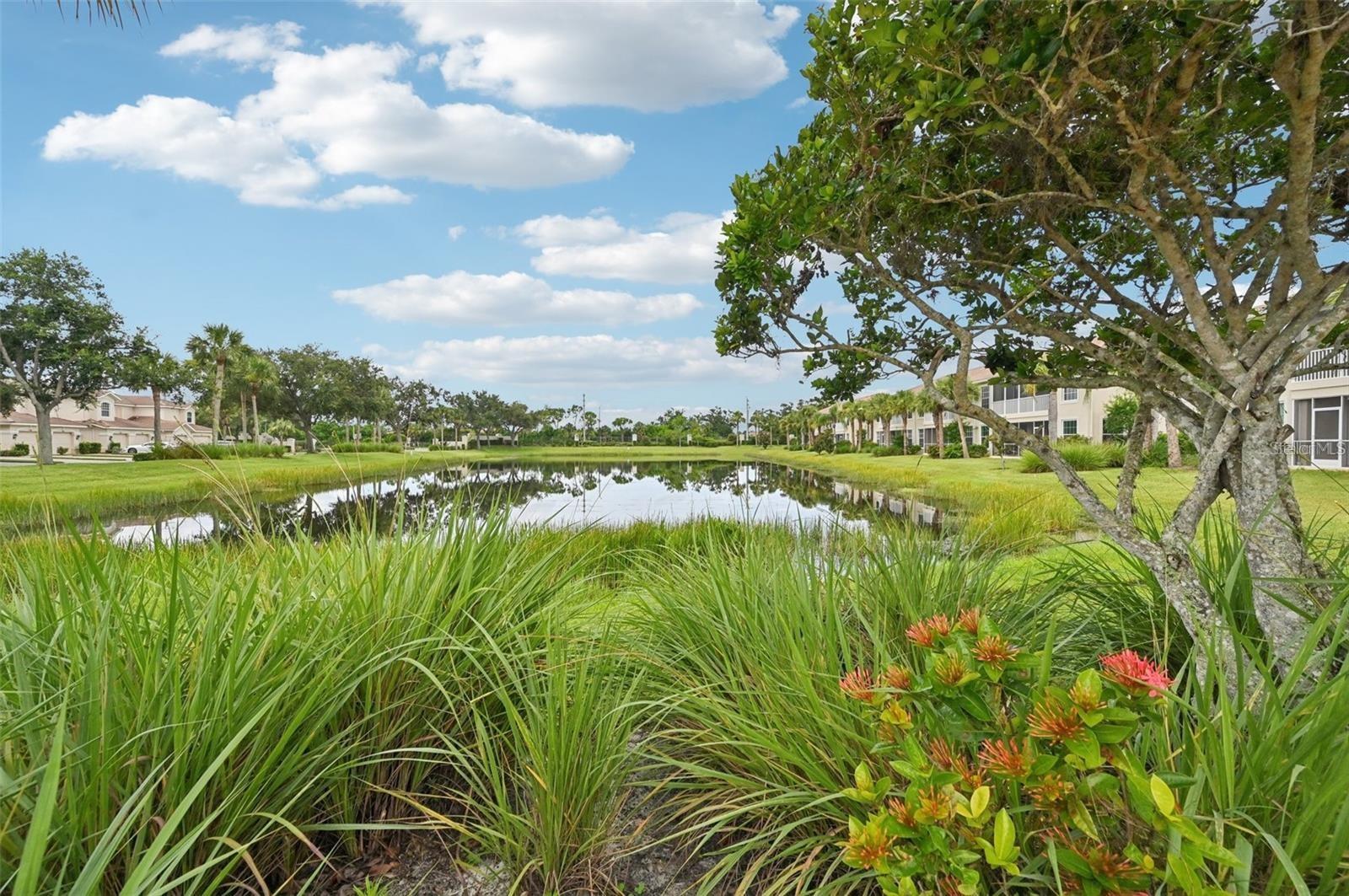 Image 27 of 27 For 7050 Prosperity Circle 904