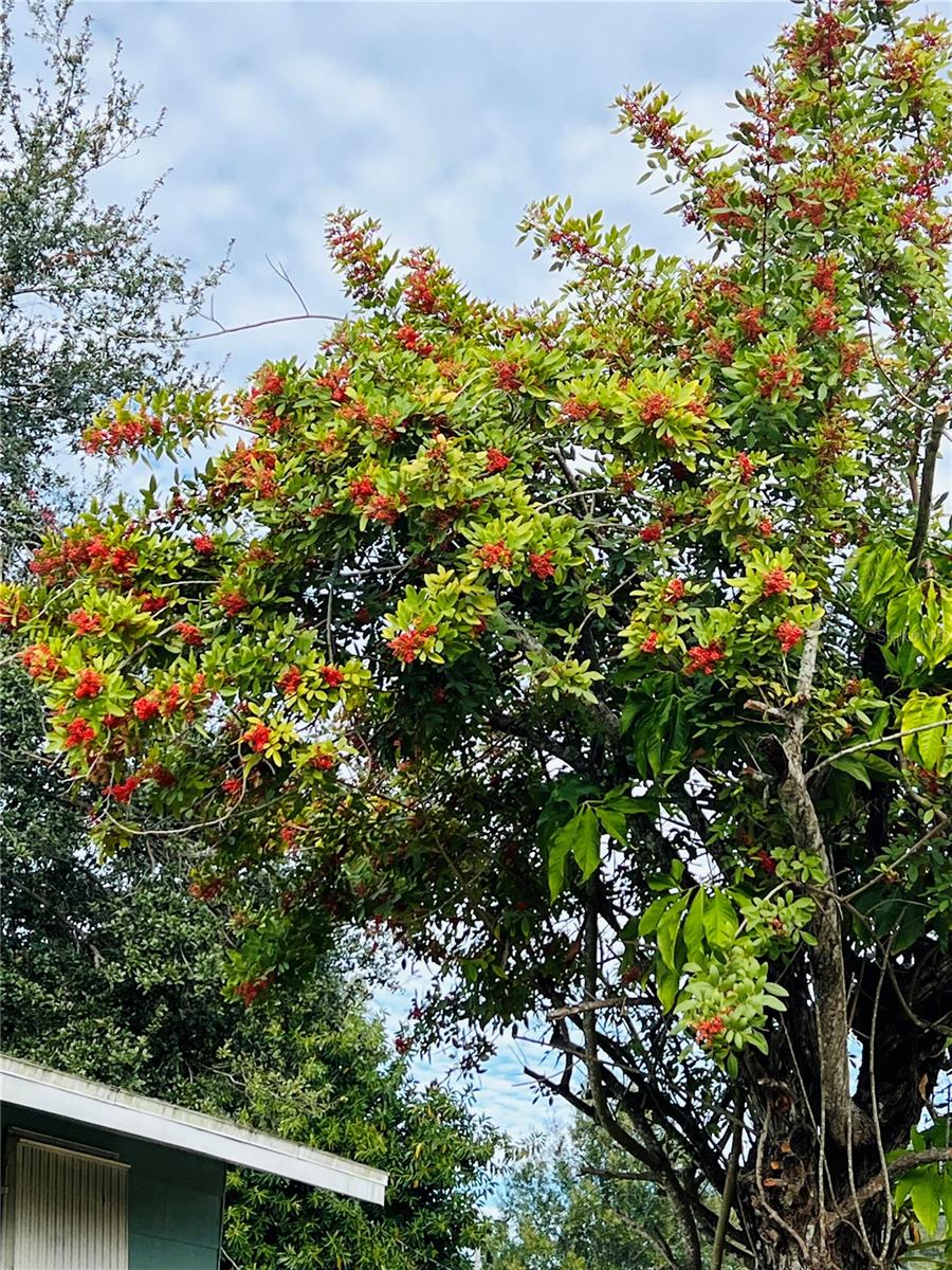 Image 28 of 32 For 501 25th Avenue W