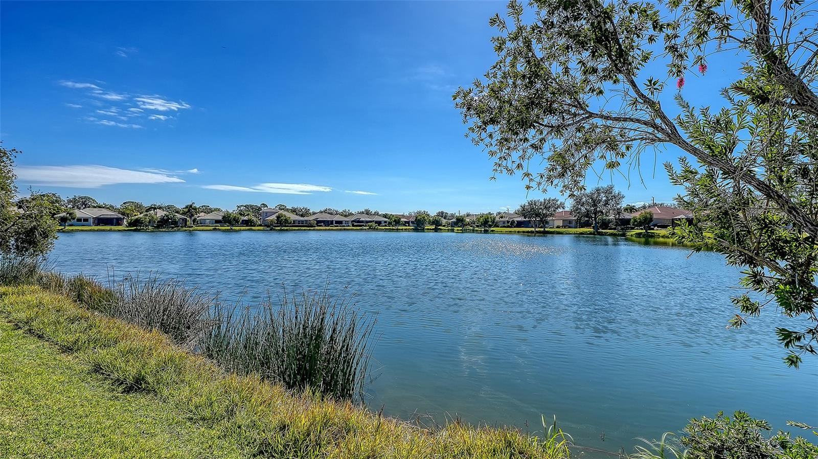 Image 46 of 53 For 522 Luminary Boulevard