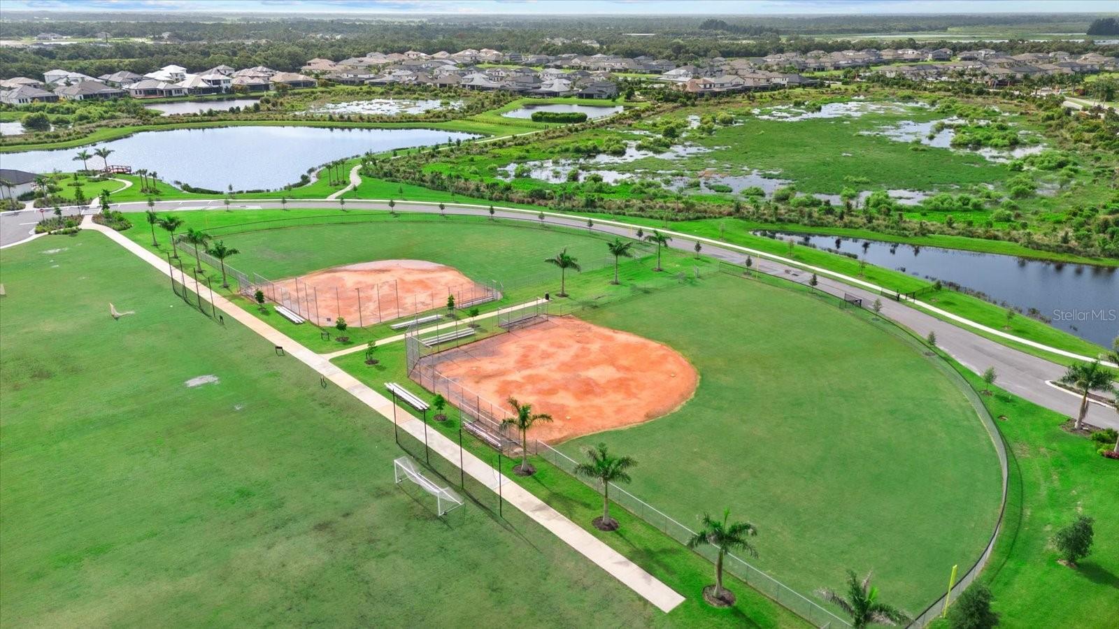 Image 64 of 65 For 10128 Morning Mist Lane