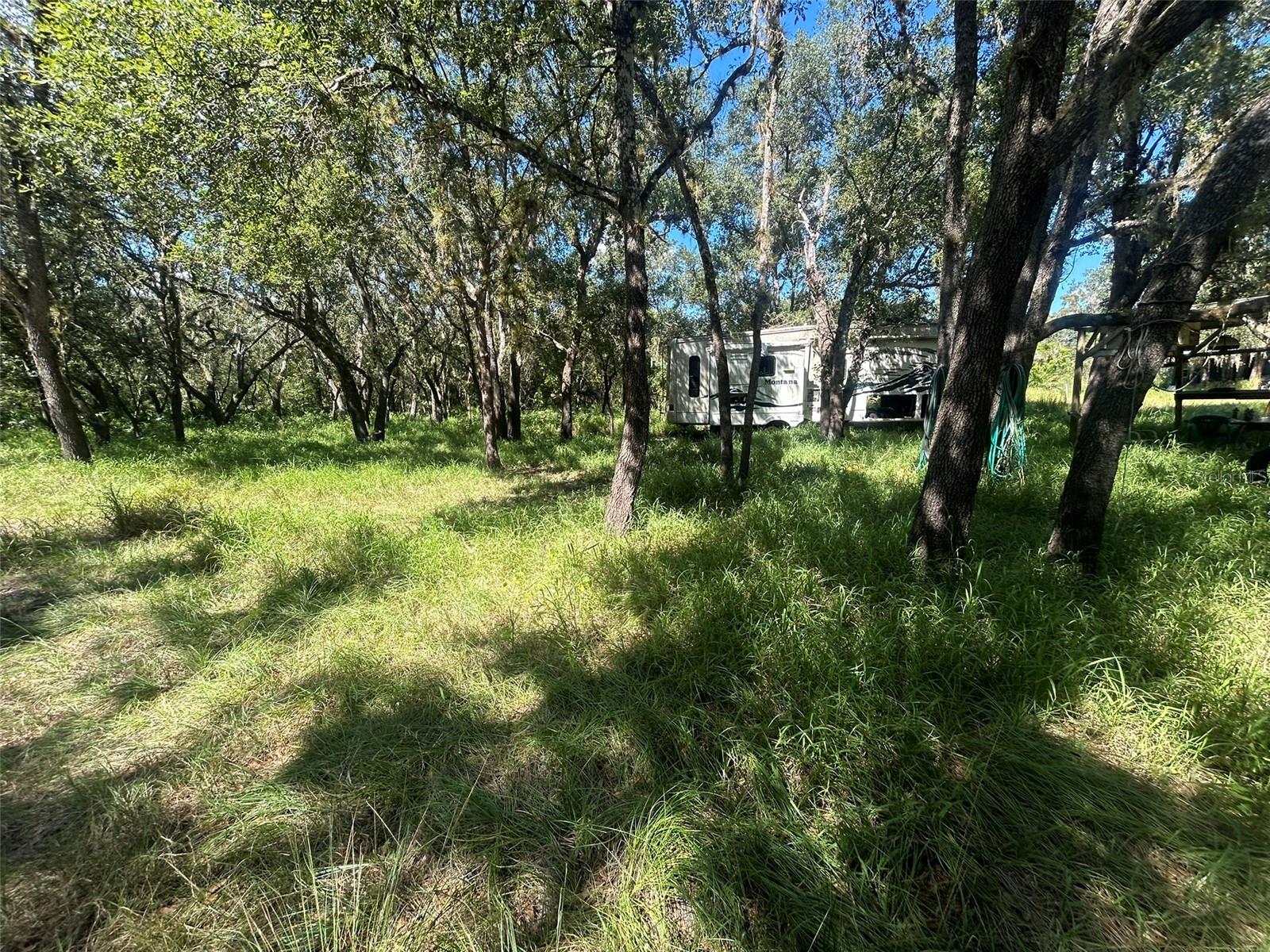 Image 10 of 13 For 1991 Girl Scout Road