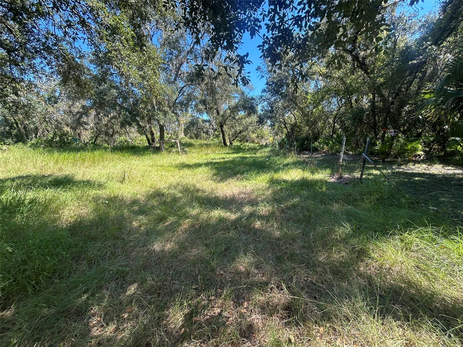 Image 11 of 13 For 1991 Girl Scout Road