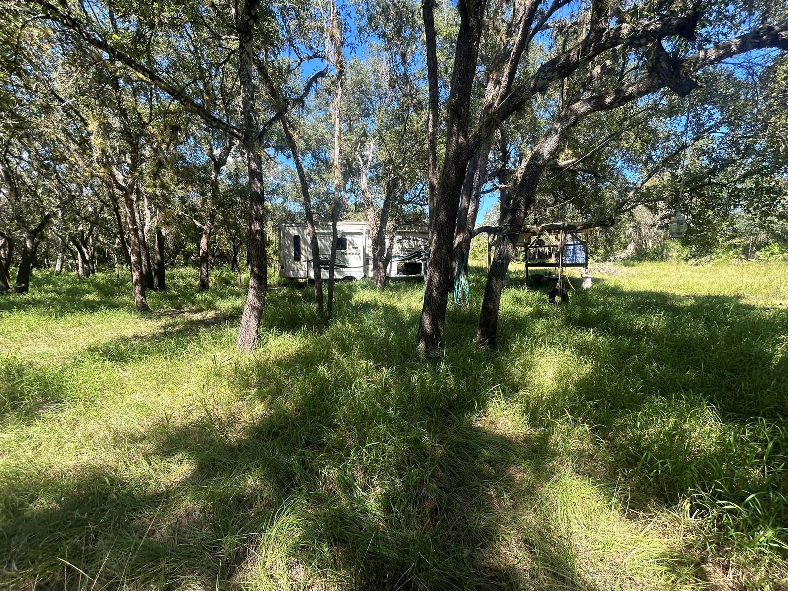 Image 12 of 13 For 1991 Girl Scout Road