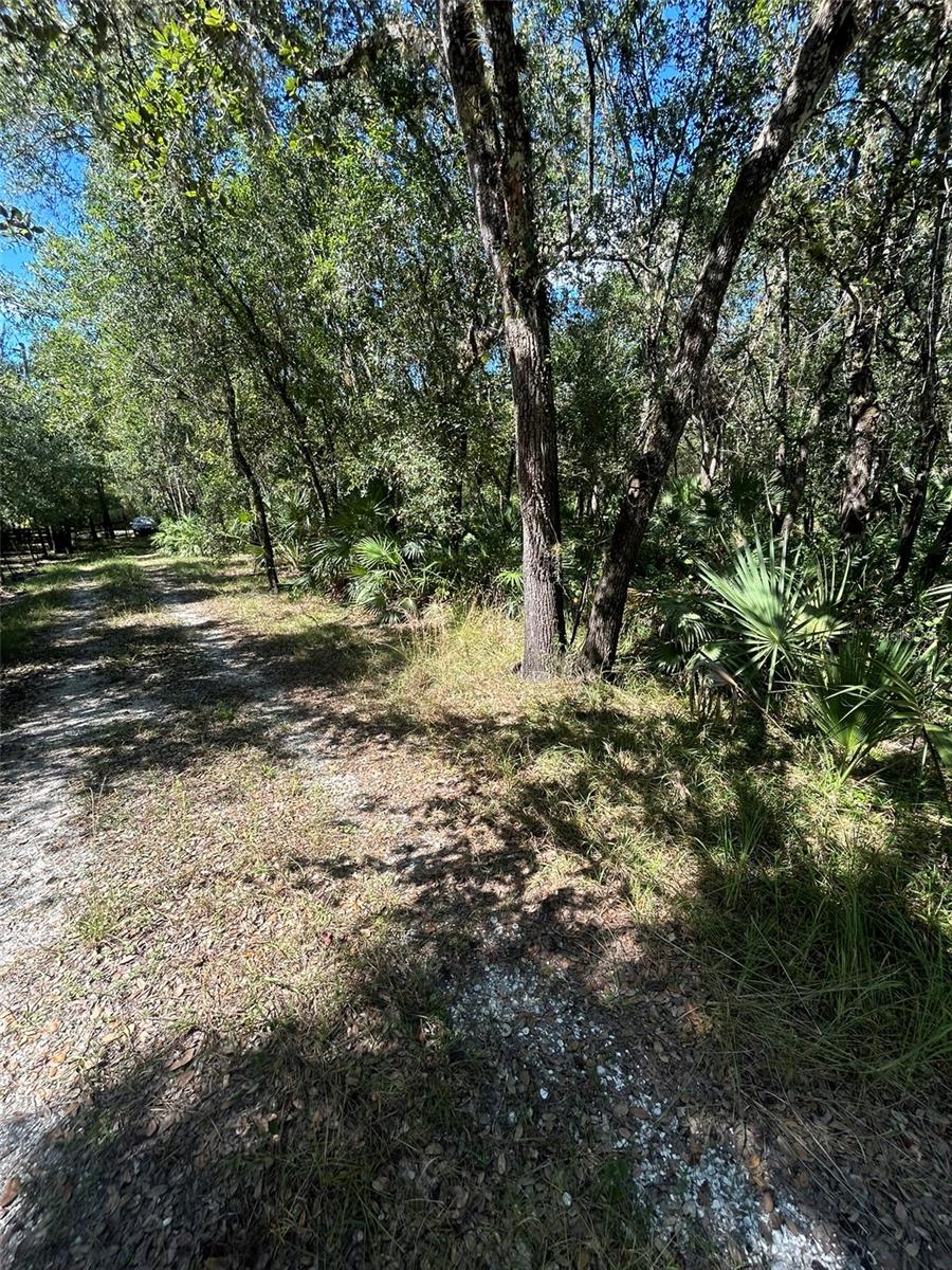 Image 4 of 13 For 1991 Girl Scout Road