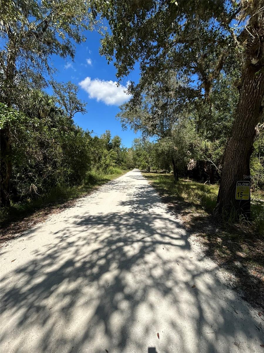 Image 6 of 13 For 1991 Girl Scout Road