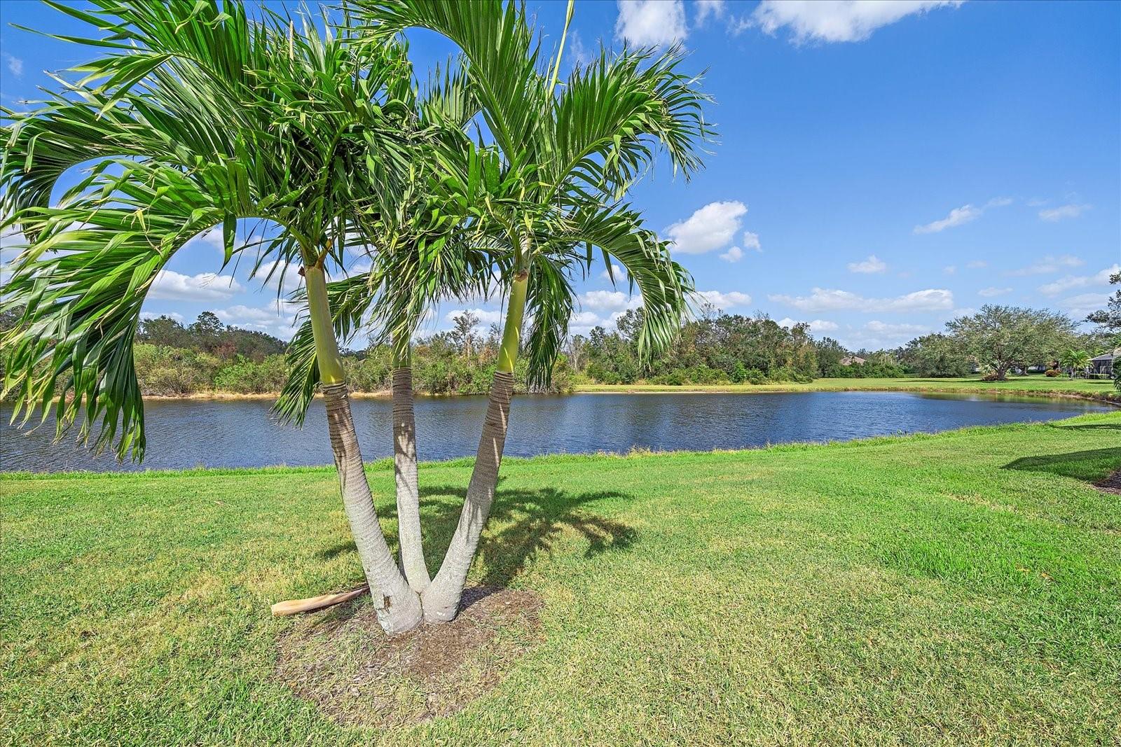 Image 25 of 30 For 7011 Woodmore Terrace