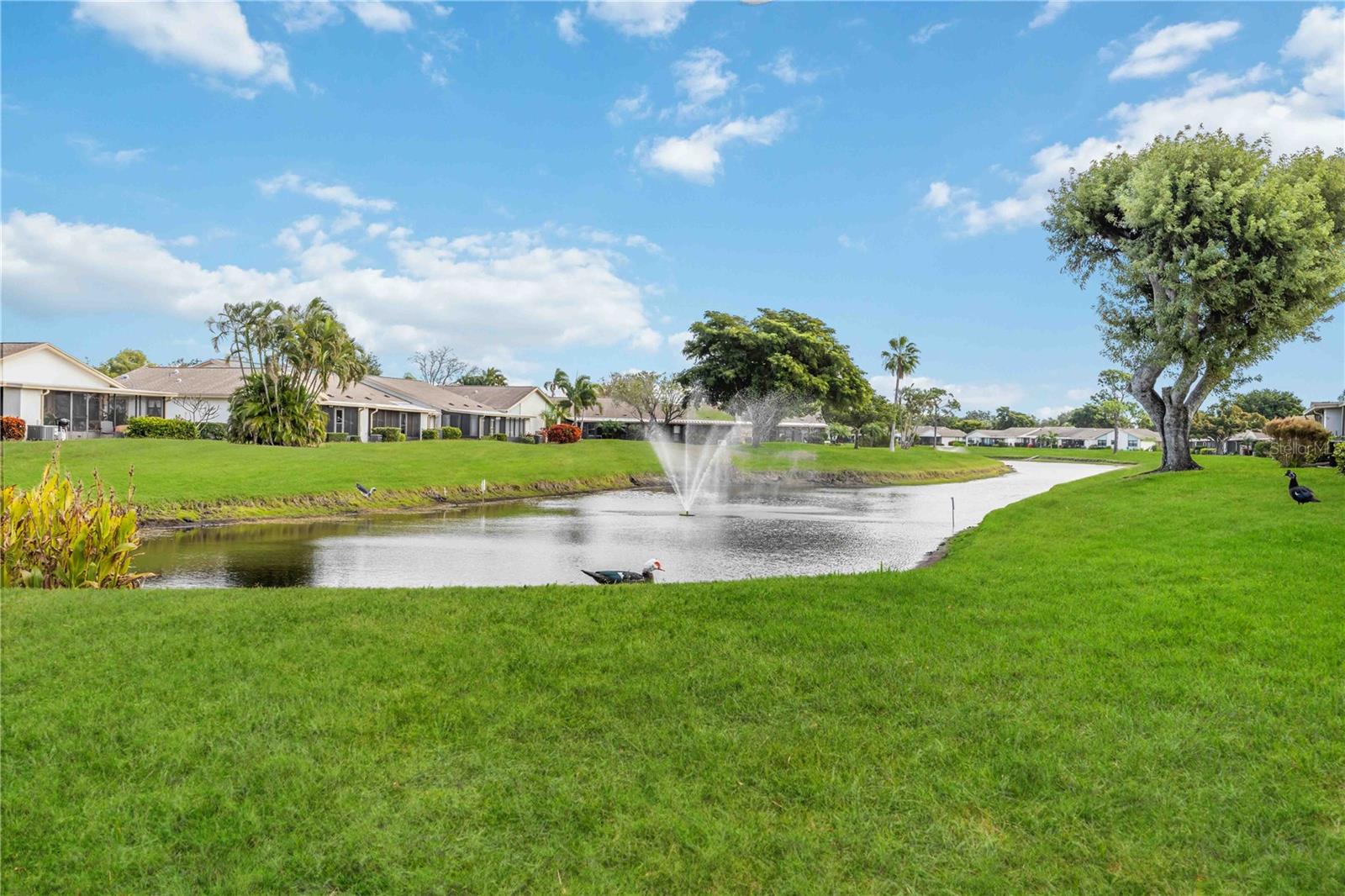 Image 39 of 53 For 6515 Heritage Lane 2615