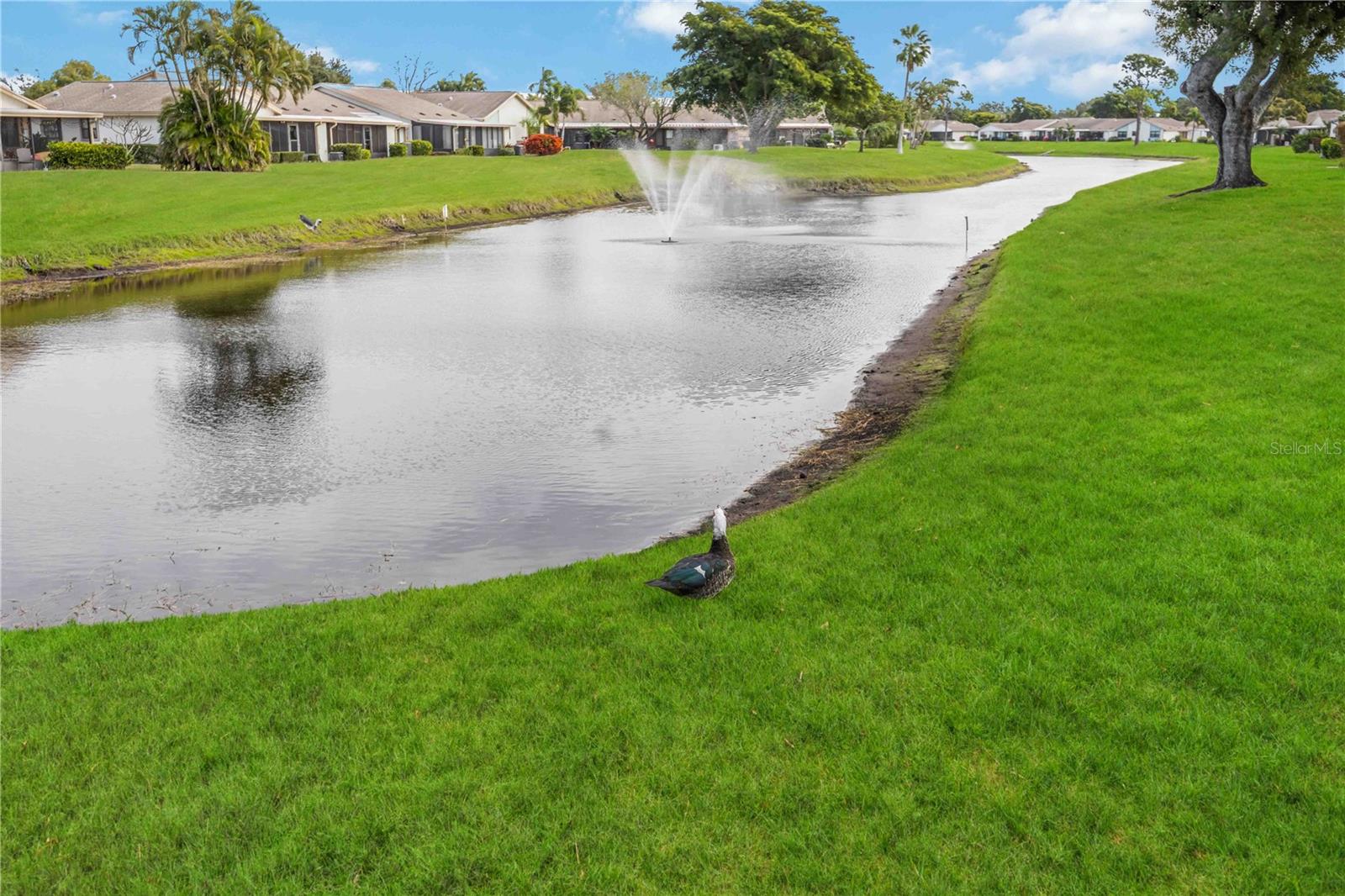 Image 40 of 53 For 6515 Heritage Lane 2615