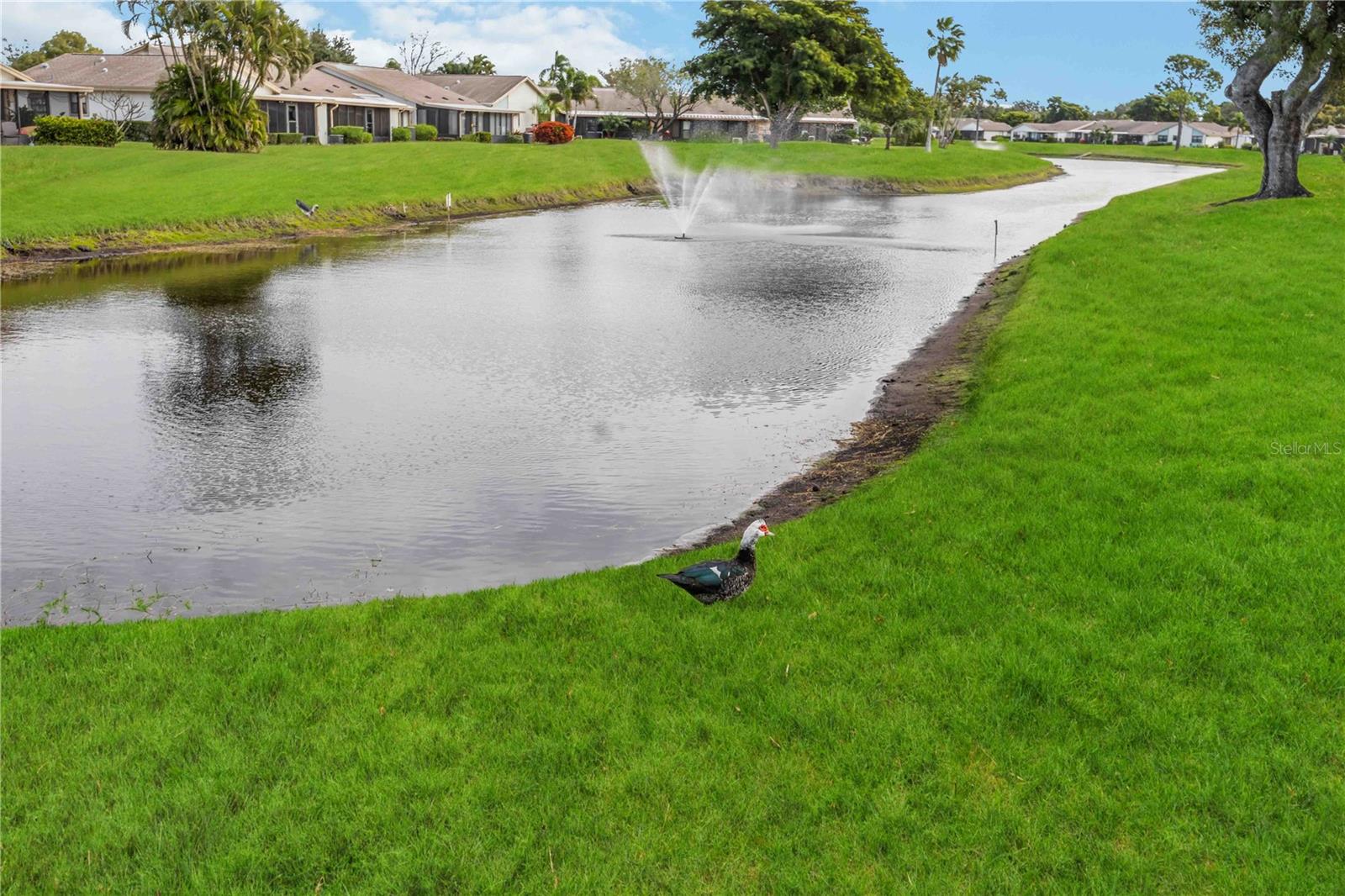 Image 41 of 53 For 6515 Heritage Lane 2615