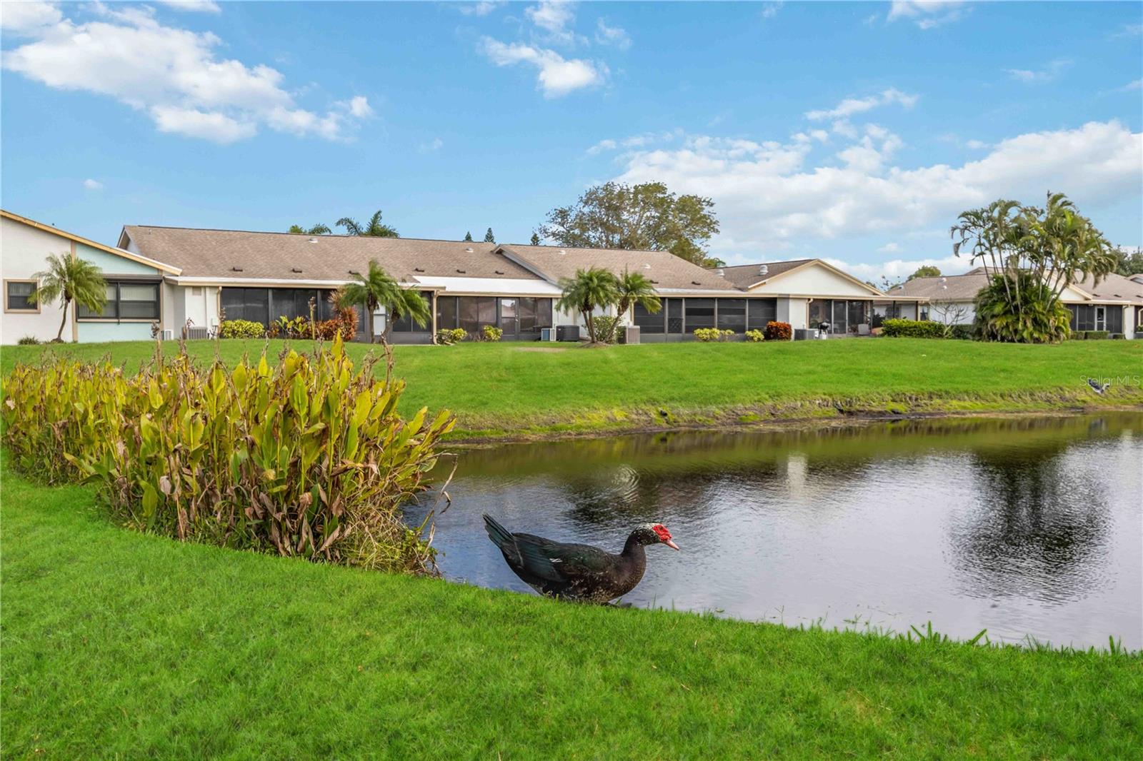 Image 43 of 53 For 6515 Heritage Lane 2615