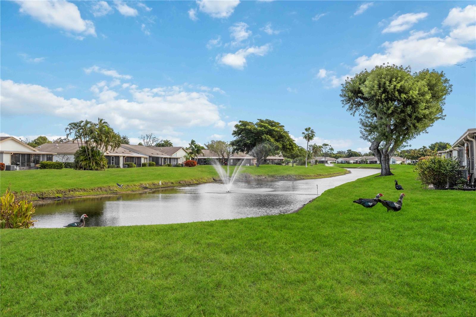 Image 5 of 53 For 6515 Heritage Lane 2615