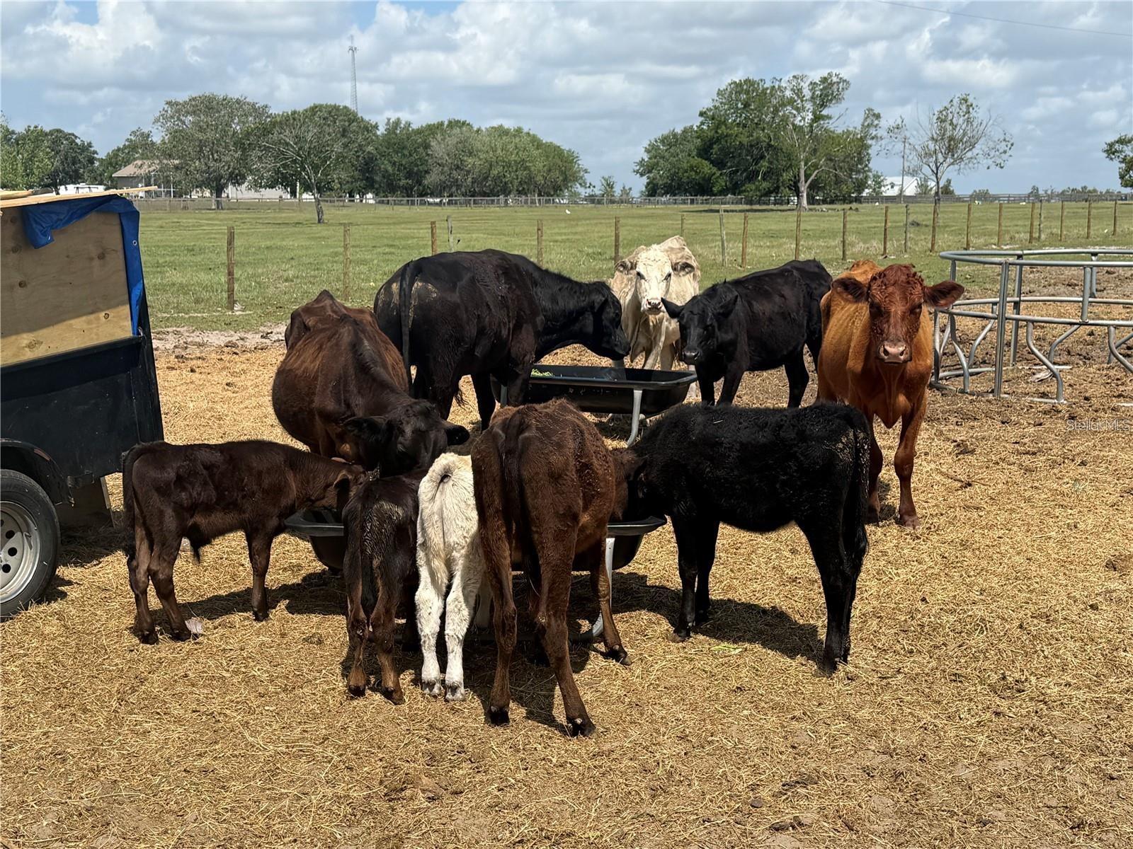 Image 38 of 43 For 25250 Sr 64  