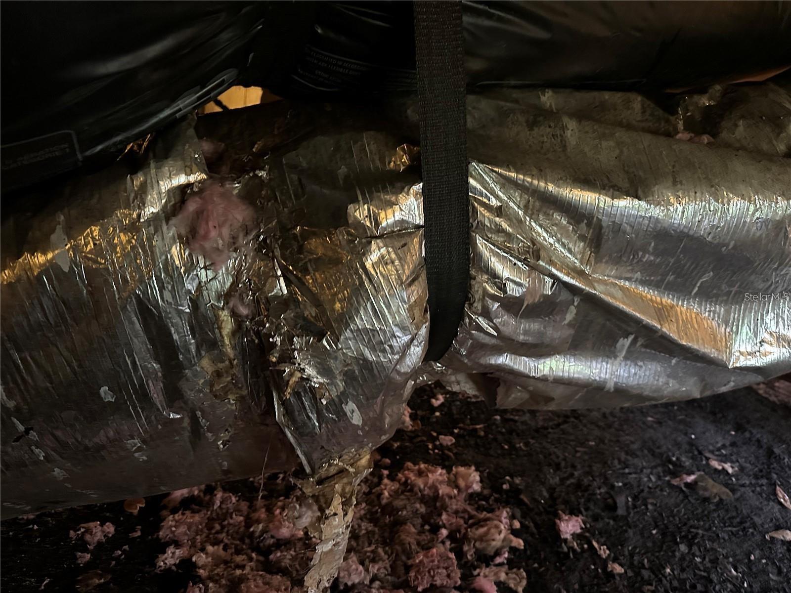 Image 4 of 43 For 25250 Sr 64  