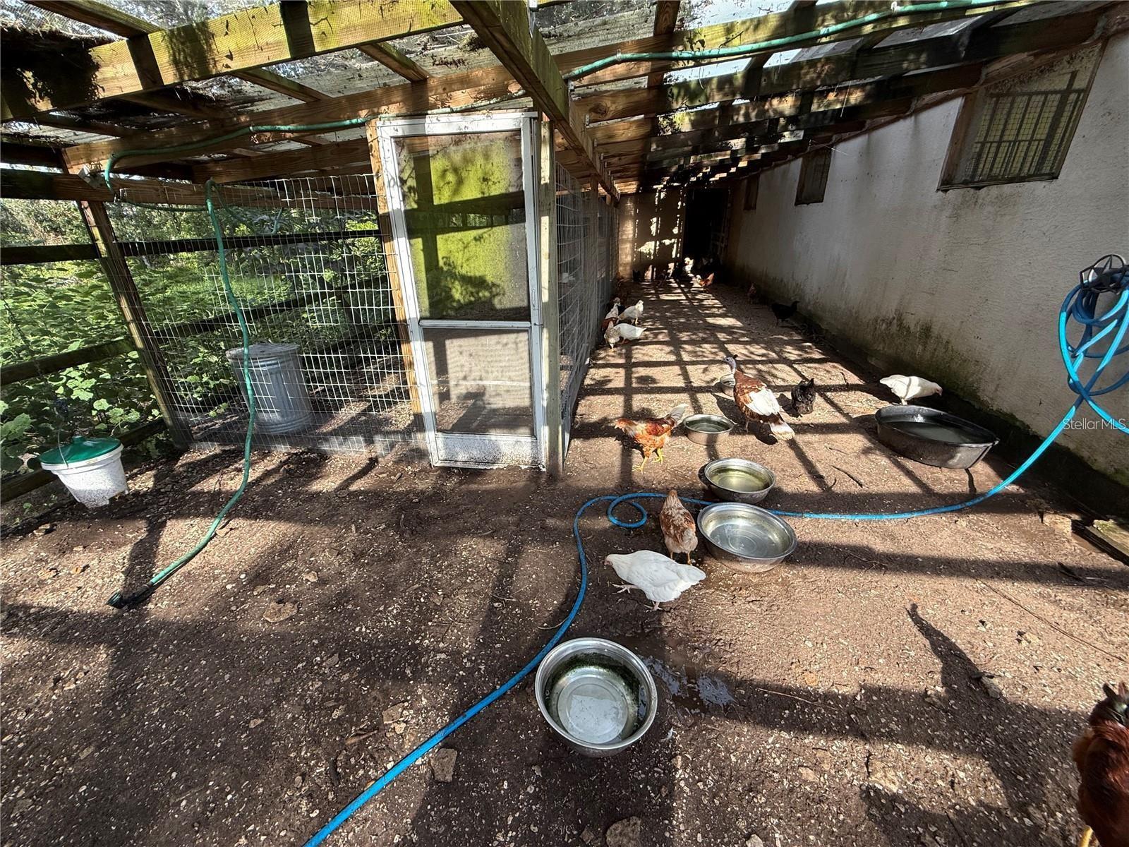 Image 42 of 43 For 25250 Sr 64  