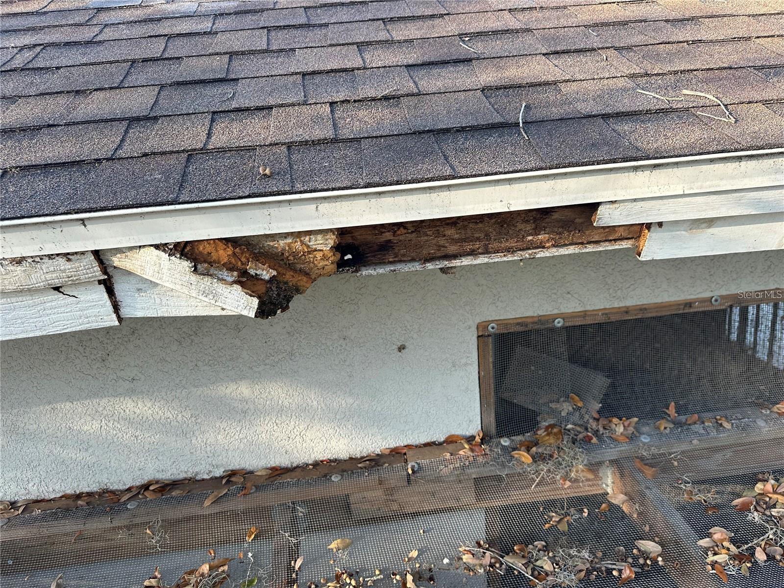 Image 6 of 43 For 25250 Sr 64  