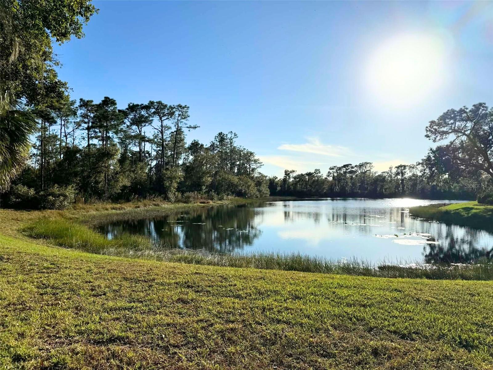 Image 32 of 38 For 7430 Weeping Willow Drive