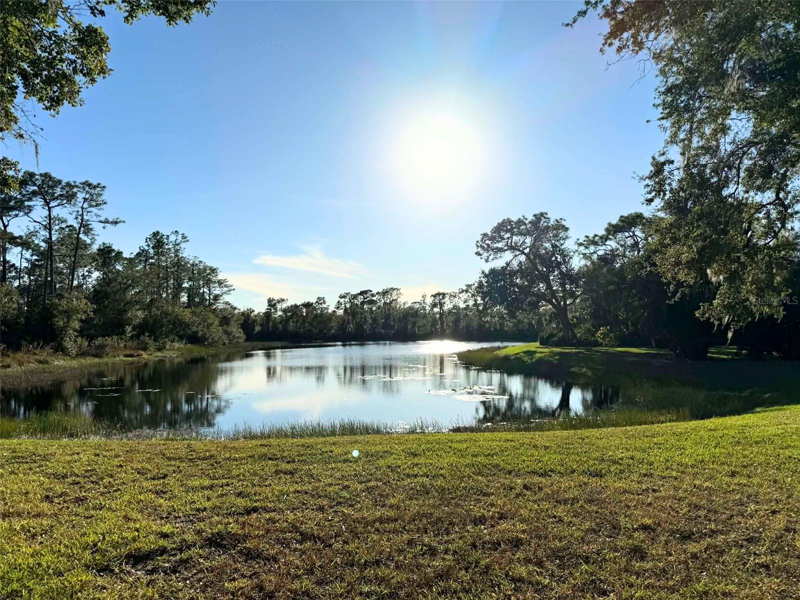 Image 33 of 38 For 7430 Weeping Willow Drive