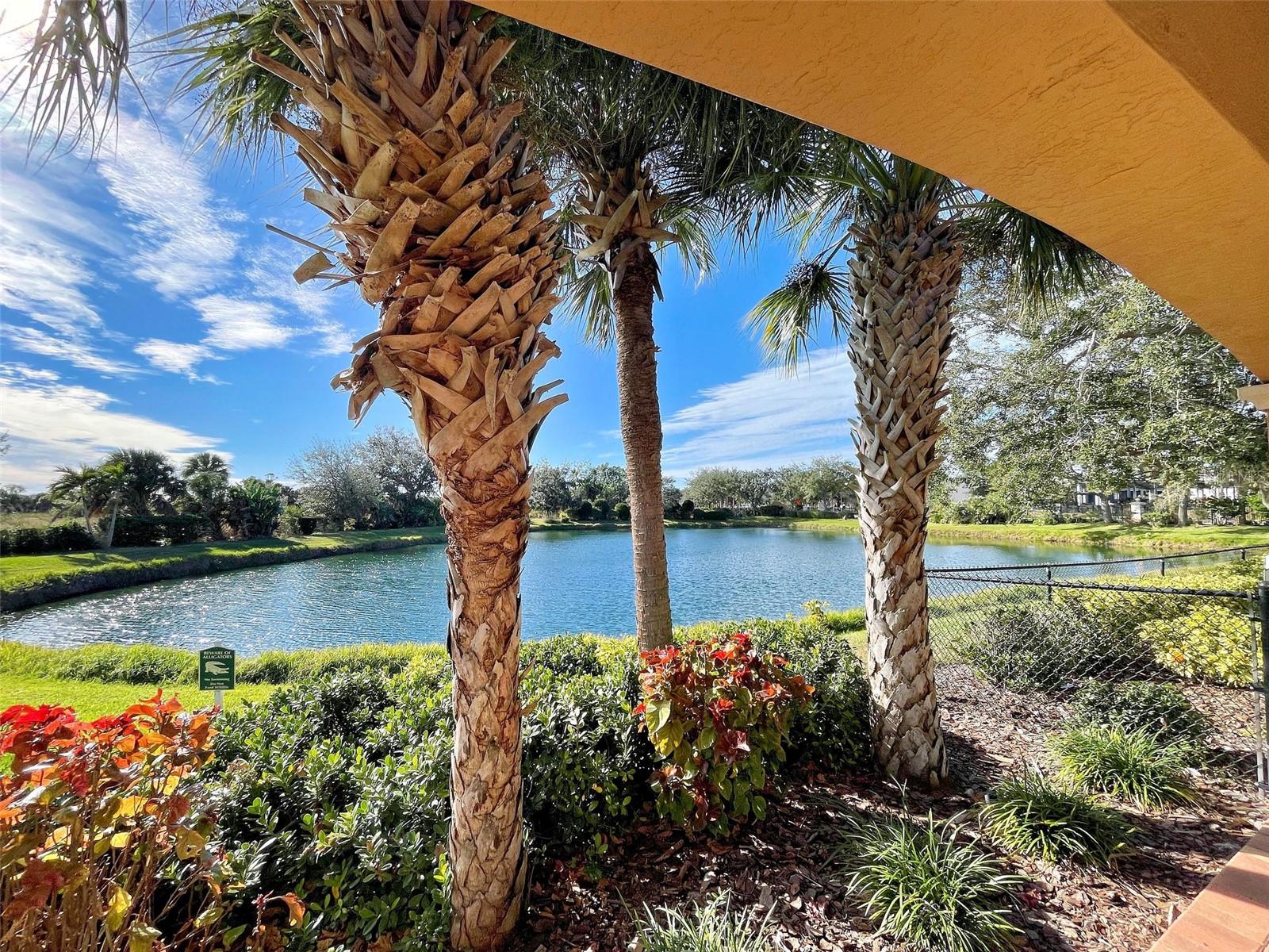 Image 18 of 80 For 523 Habitat Boulevard