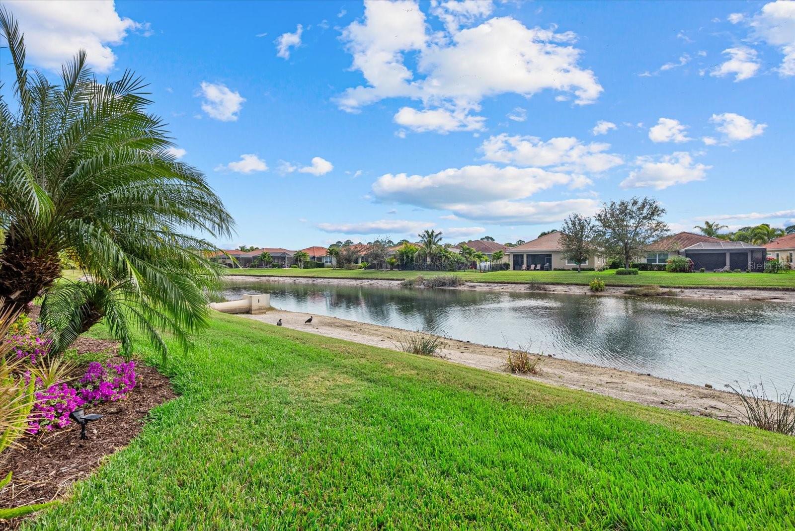 Image 40 of 63 For 11721 Goombay Court