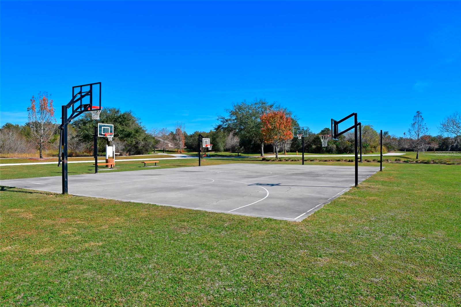 Image 33 of 53 For 12709 Nightshade Place