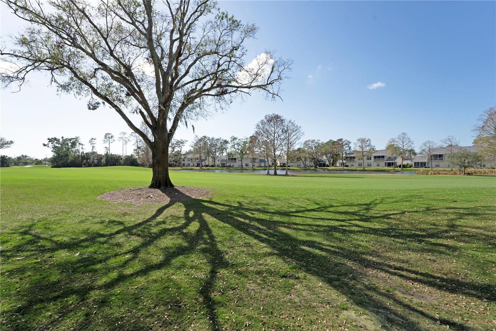 Image 25 of 50 For 6501 Stone River Road 205