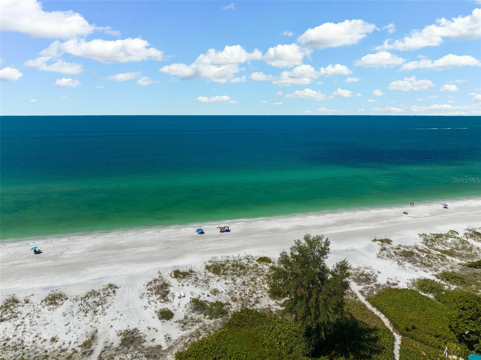 Image 61 of 61 For 5612 Guava Street