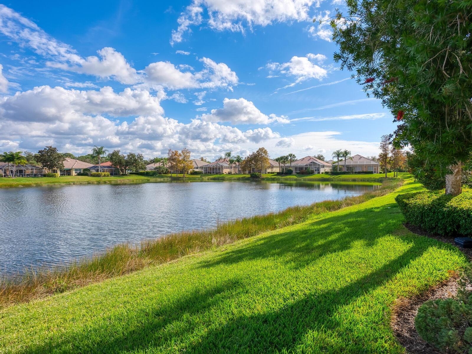 Image 2 of 45 For 7675 Uliva Way