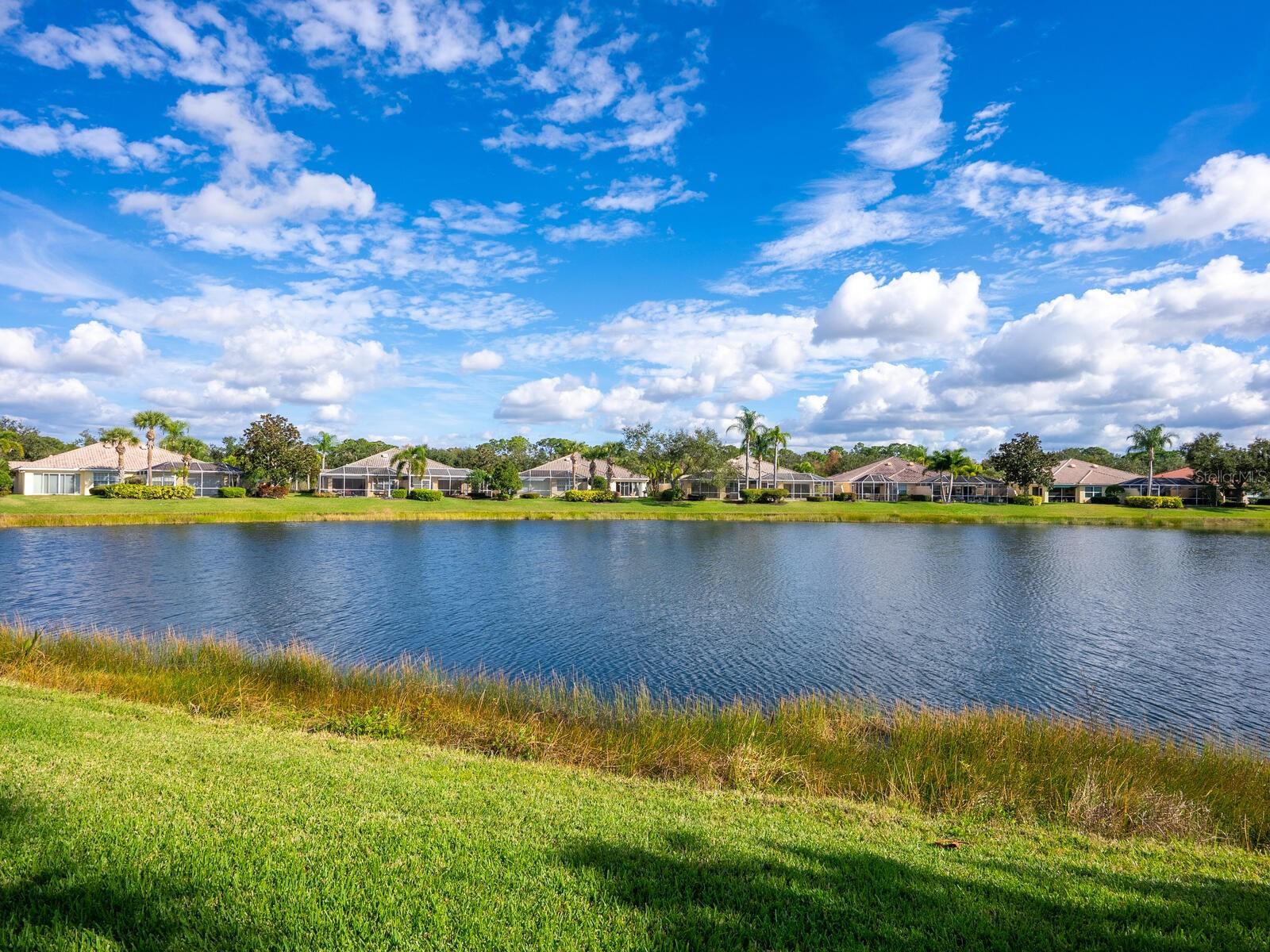 Image 3 of 45 For 7675 Uliva Way