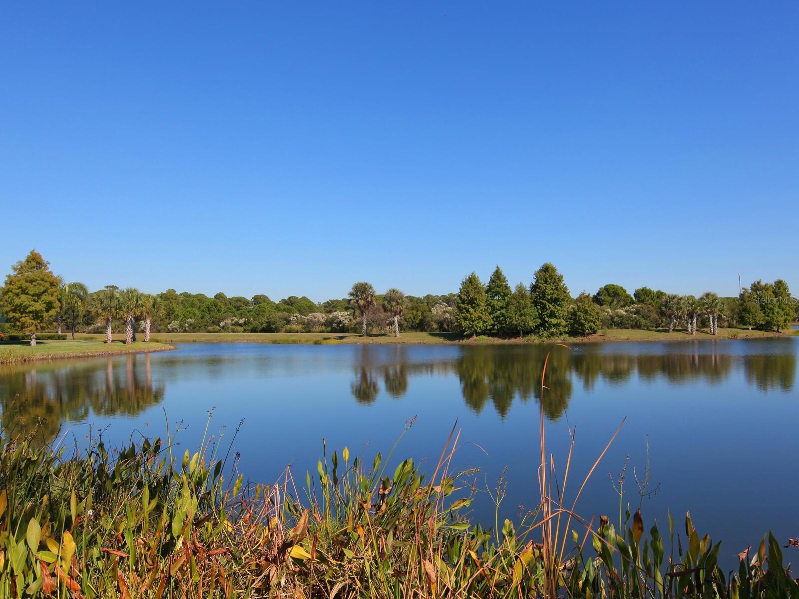 Image 45 of 45 For 7675 Uliva Way