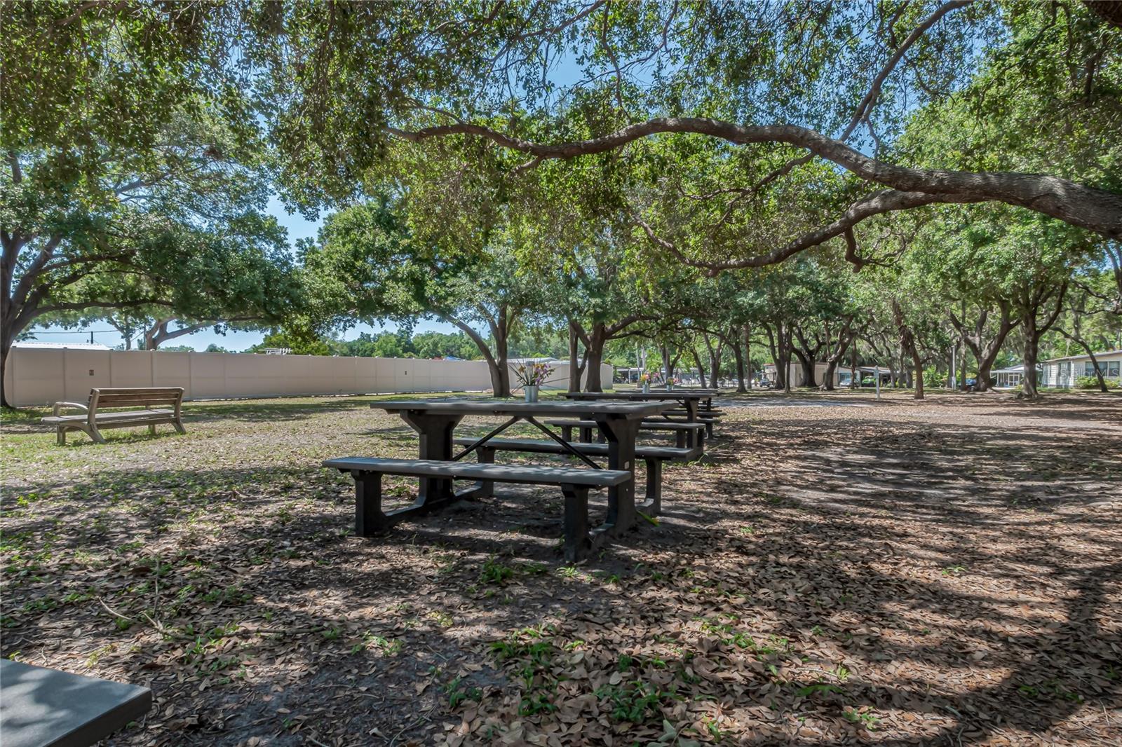 Image 23 of 24 For 3102 Terra Siesta Boulevard