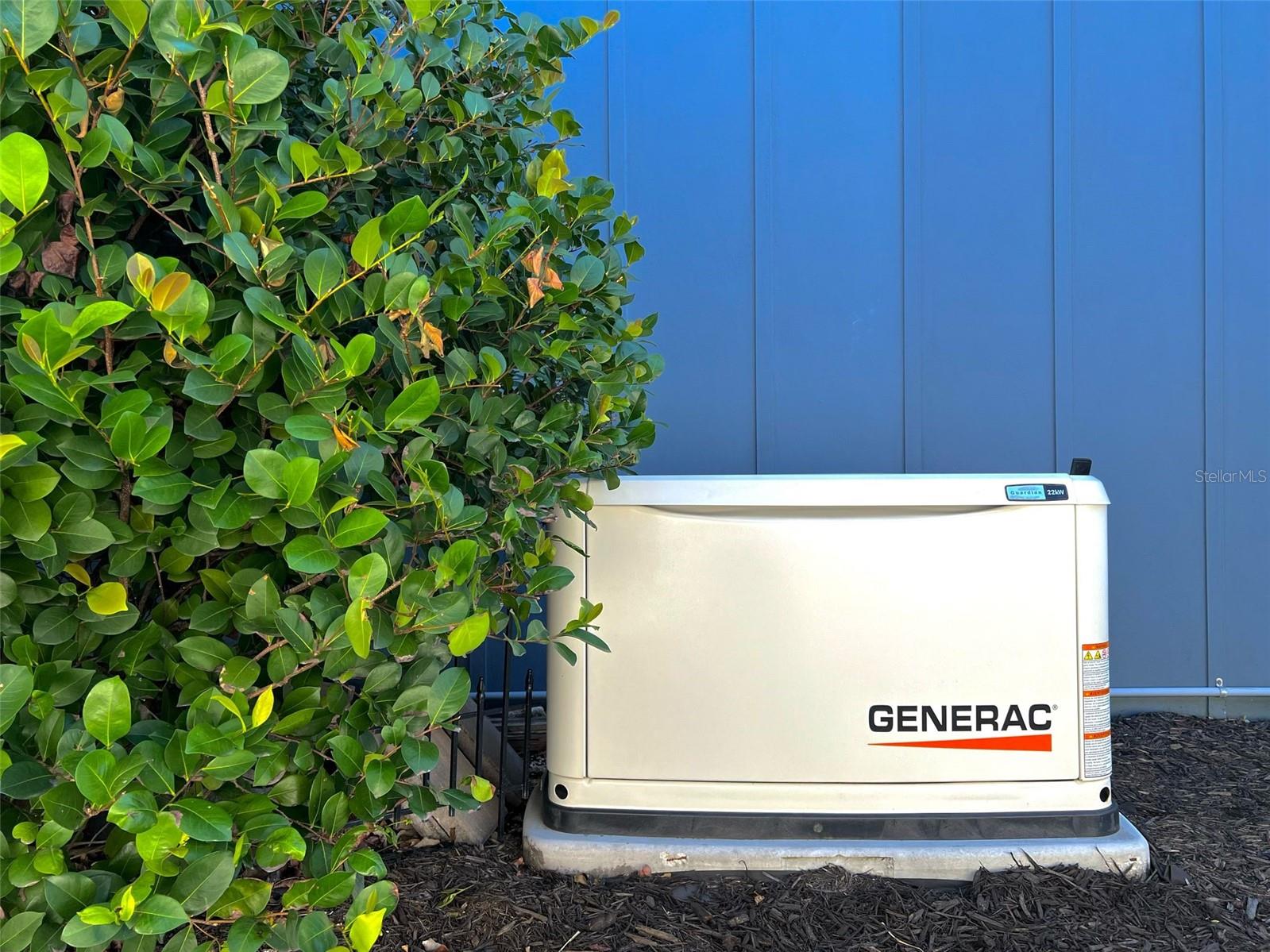 Image 38 of 47 For 1328 Wandering Willow Way