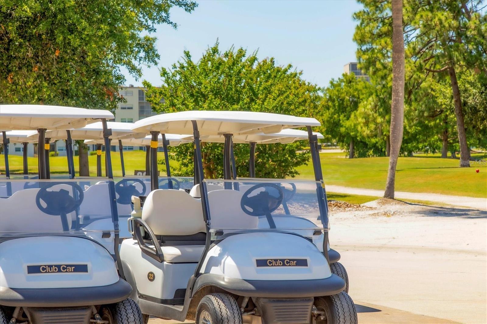 Image 41 of 47 For 4200 Ironwood Circle 108b