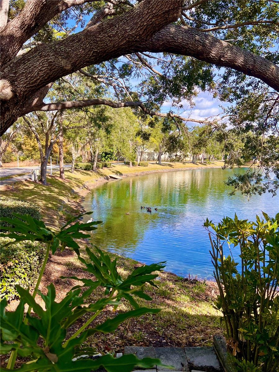 Image 41 of 62 For 7801 Ontario Street Circle