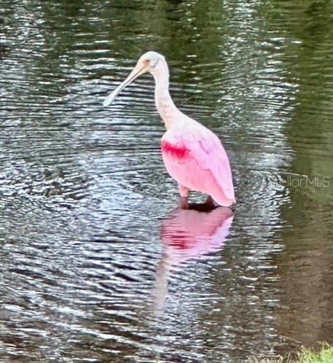 Image 46 of 62 For 7801 Ontario Street Circle