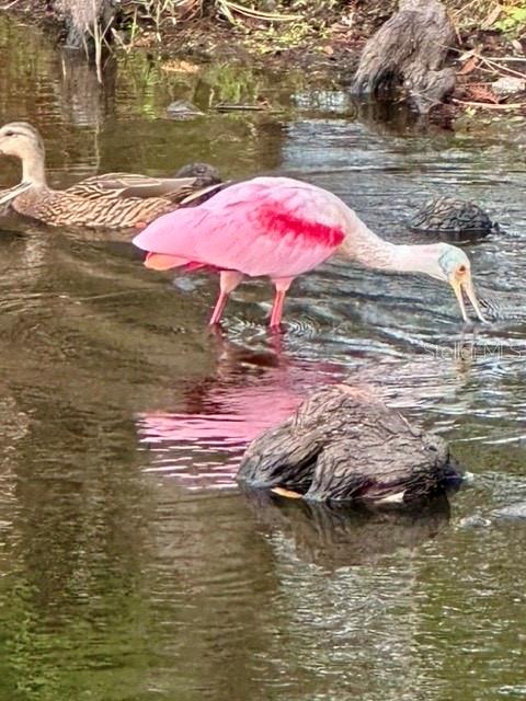 Image 47 of 62 For 7801 Ontario Street Circle