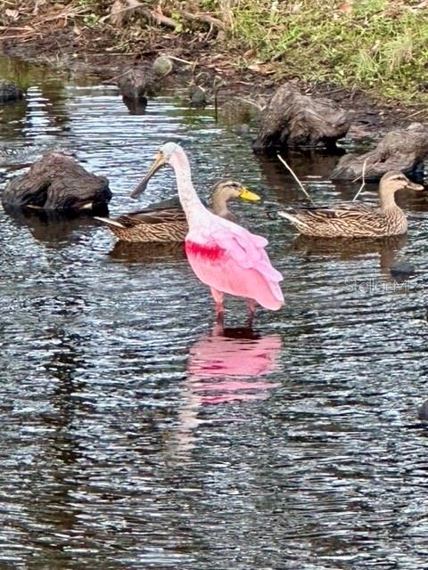 Image 48 of 62 For 7801 Ontario Street Circle