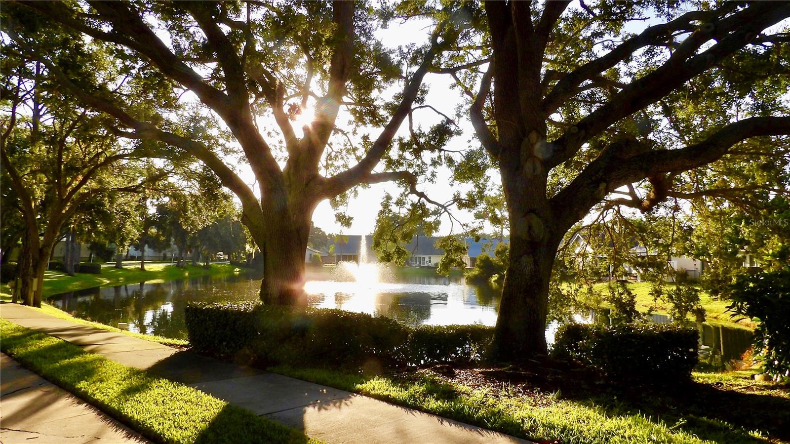 Image 52 of 62 For 7801 Ontario Street Circle